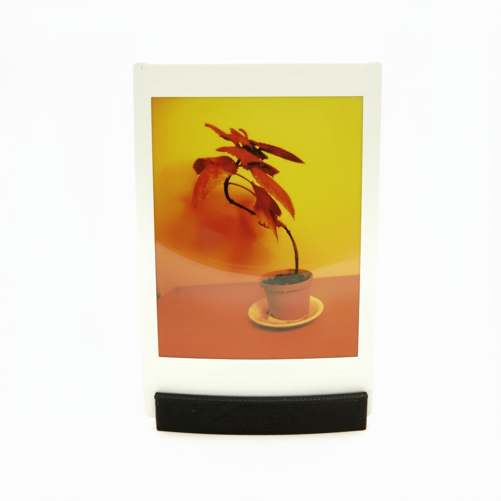 Set de présentoirs photo (3 pièces) pour Polaroid, Instax Wide & Mini